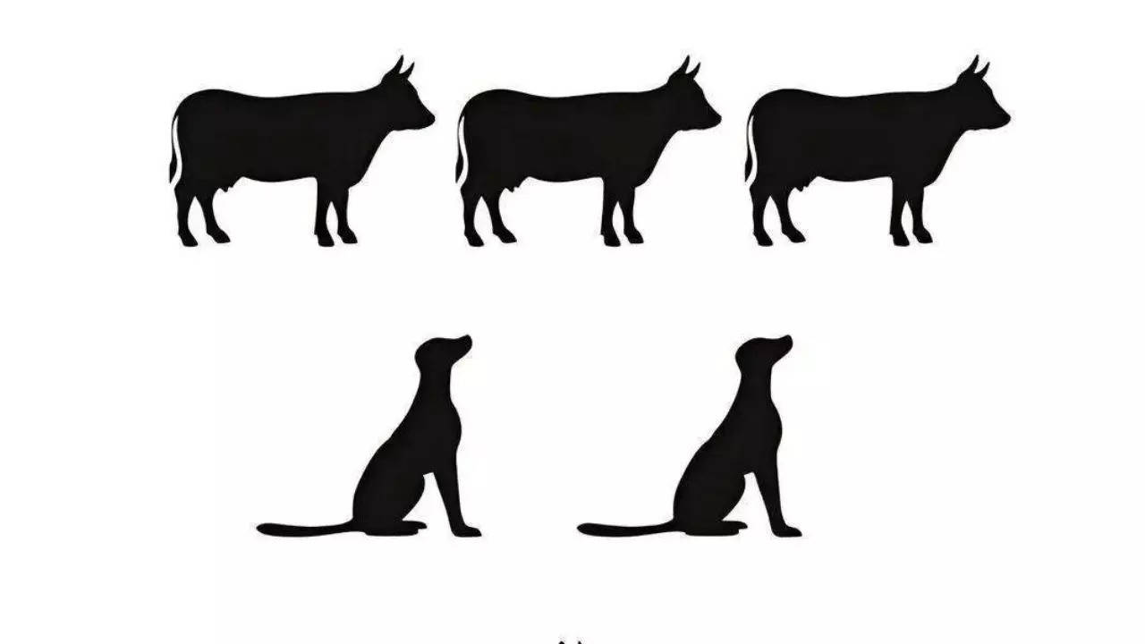 only true puzzle enthusiasts can solve this 3 cows, 2 dogs, 1 cat challenge