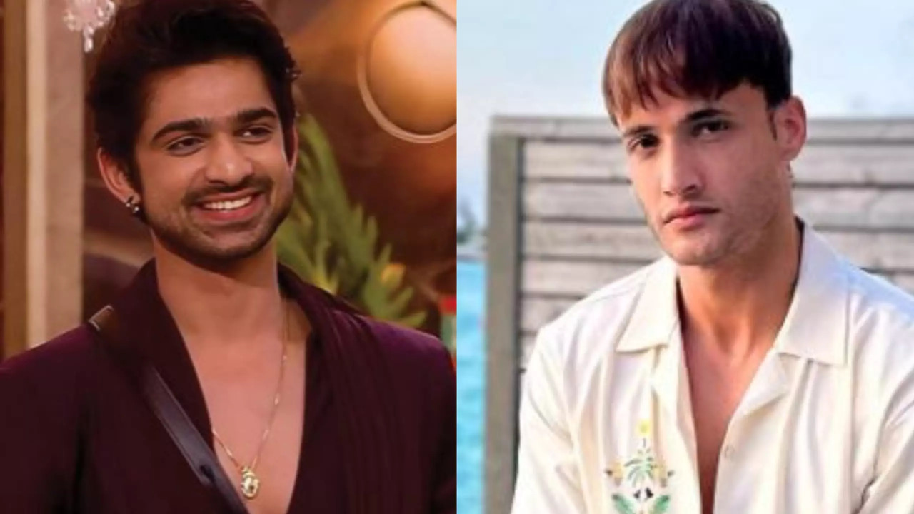 Did Abhishek Kumar Confirm Asim Riaz's Exit From Khatron Ke Khiladi 14?