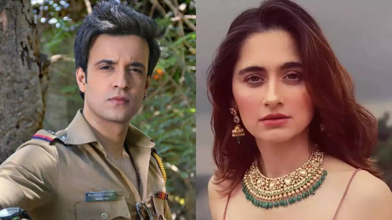 Aamir Ali Reacts To Sanjeeda Shaikh's 'Demotivating Partner' Comment: 'Washing Dirty Laundry In Public...'