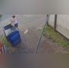 Watch Woman Caught On Cam Throwing Puppies in Trash Arrested After Video Goes Viral