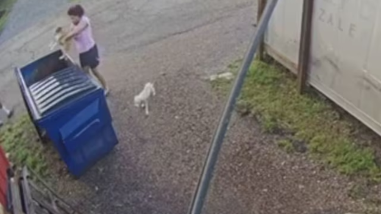 Watch: Woman Caught On Cam Throwing Puppies in Trash, Arrested After Video Goes Viral