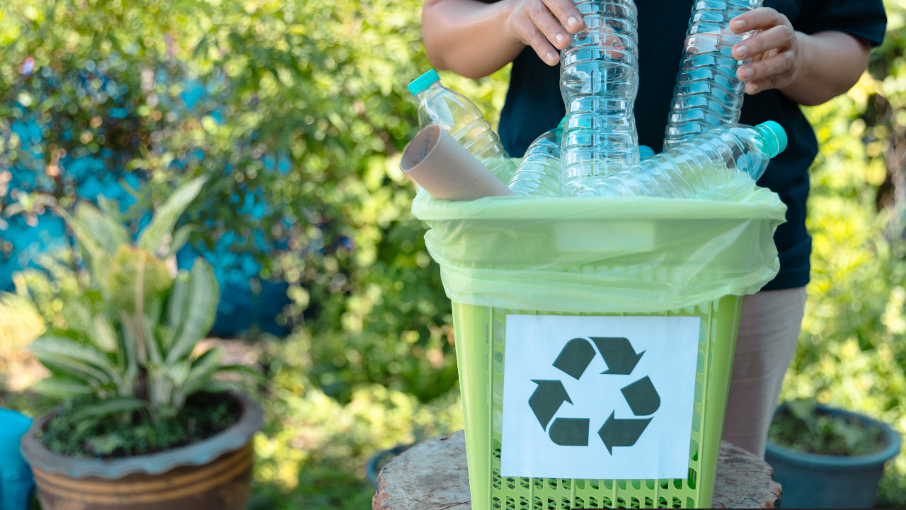 World Environment Day: Interesting Ways To Recycle Your Waste At Home