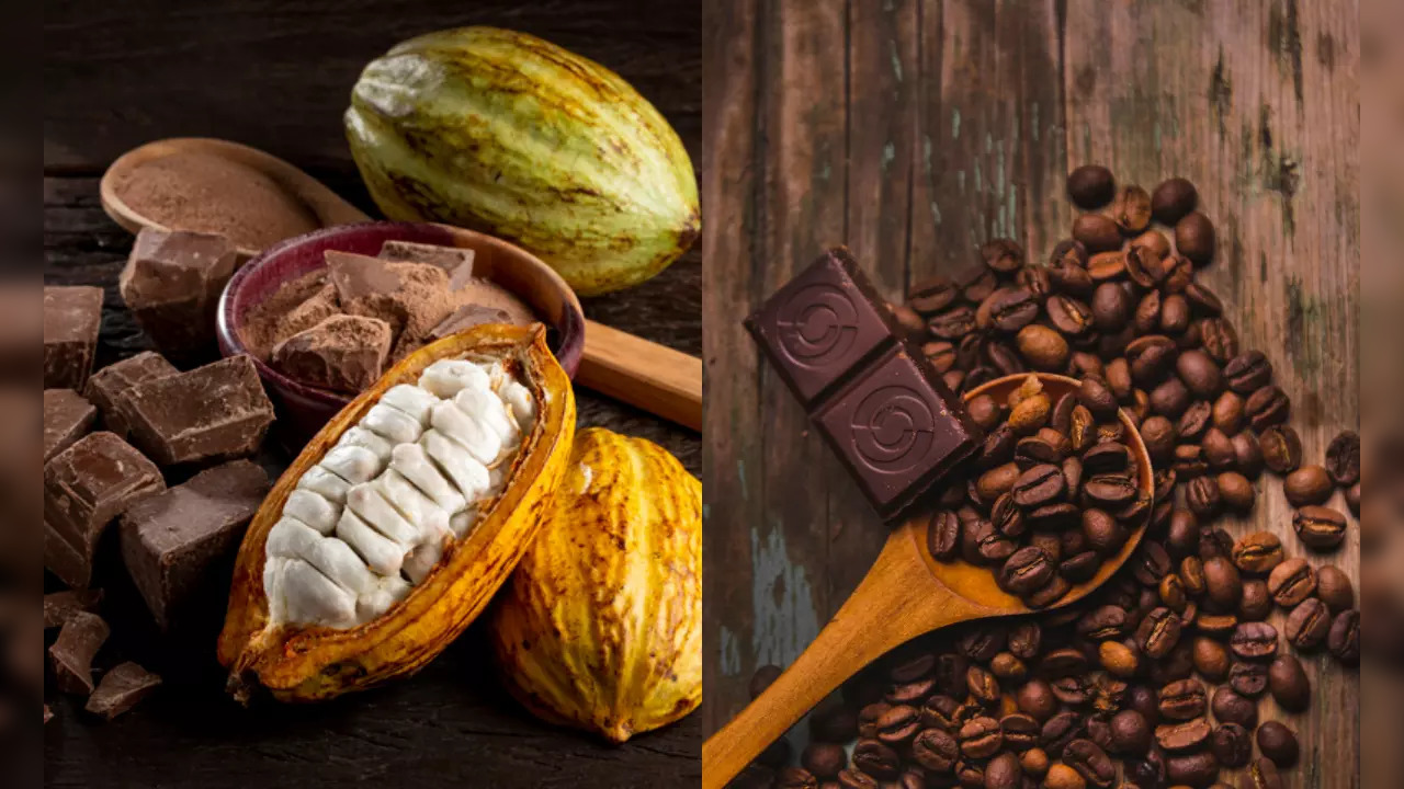 Cocoa vs Cacao