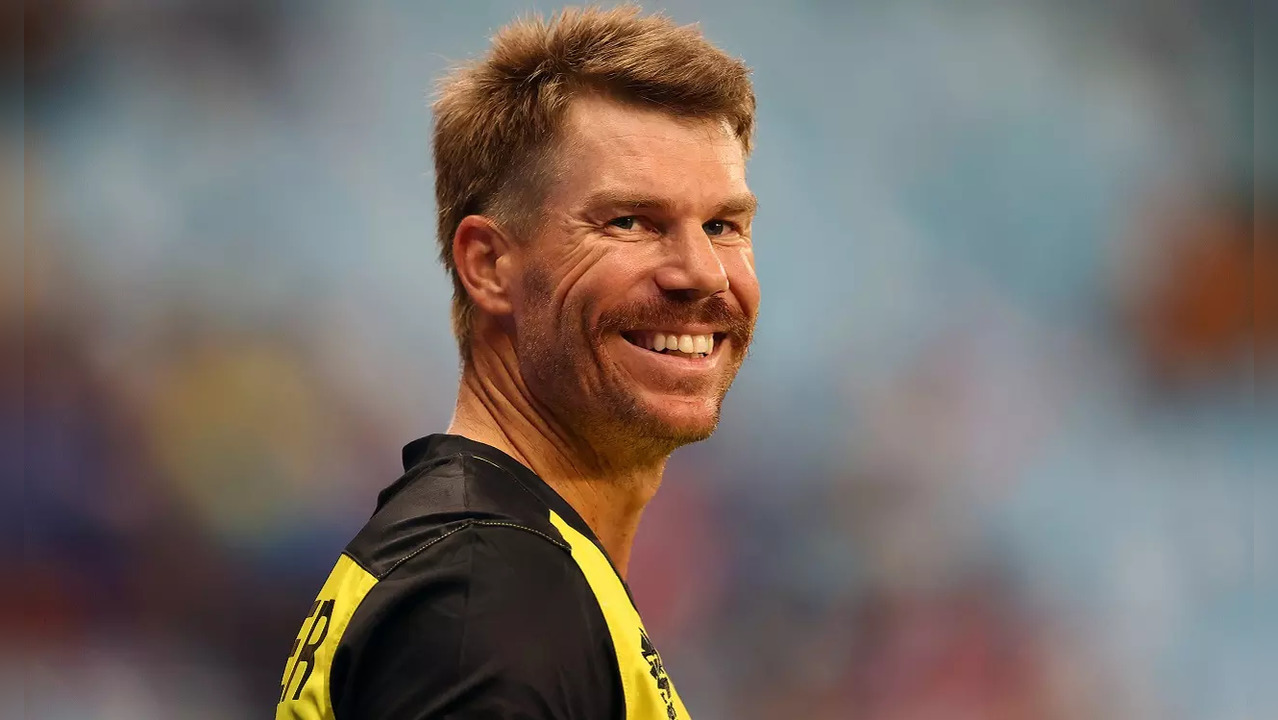 David Warner has 111 fifty-plus scores to his name in T20s