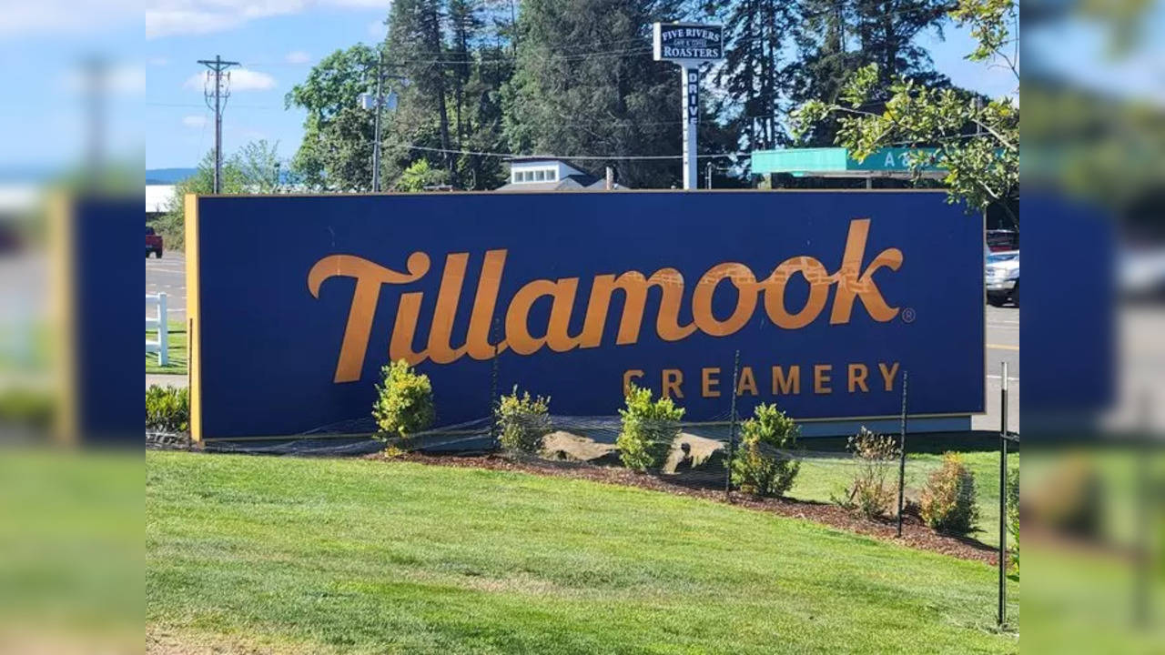 Tillamook Issues Cheese Recall Amid Concerns of ‘Foreign Plastic