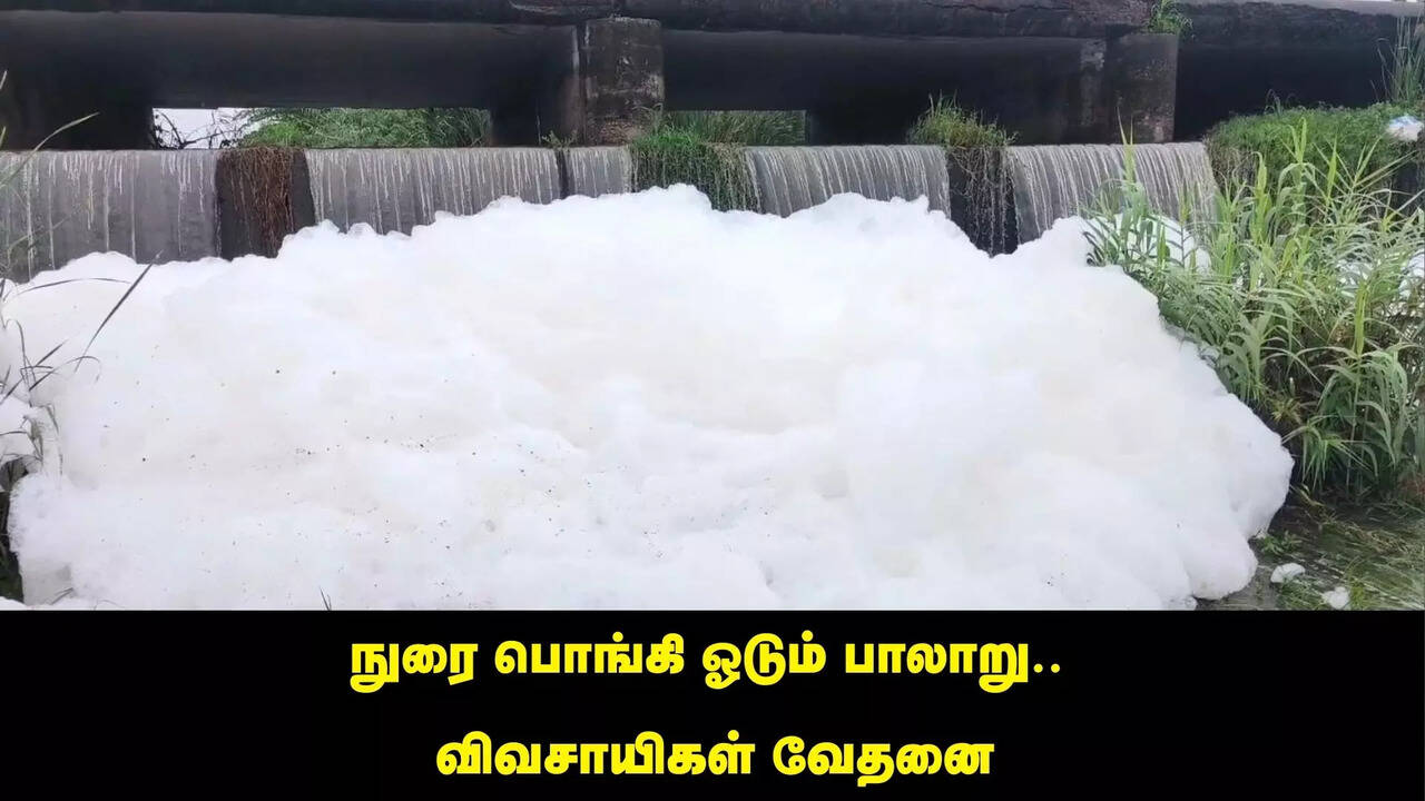  தொழிற்சாலை கழிவு நீர்.. நுரை பொங்கி ஓடும் பாலாறு.. விவசாயிகள் வேதனை 