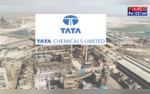 Tata Chemical Dividend Record Date Next Week- Check Dividend Payout And Other Details