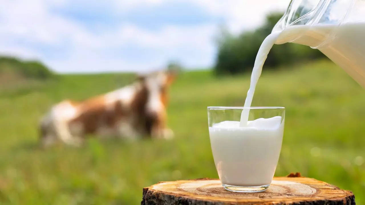 FDA Urges States to Limit Sales Of Raw Milk To Prevent Bird Flu; Know How Raw Milk Can Cause Influenza