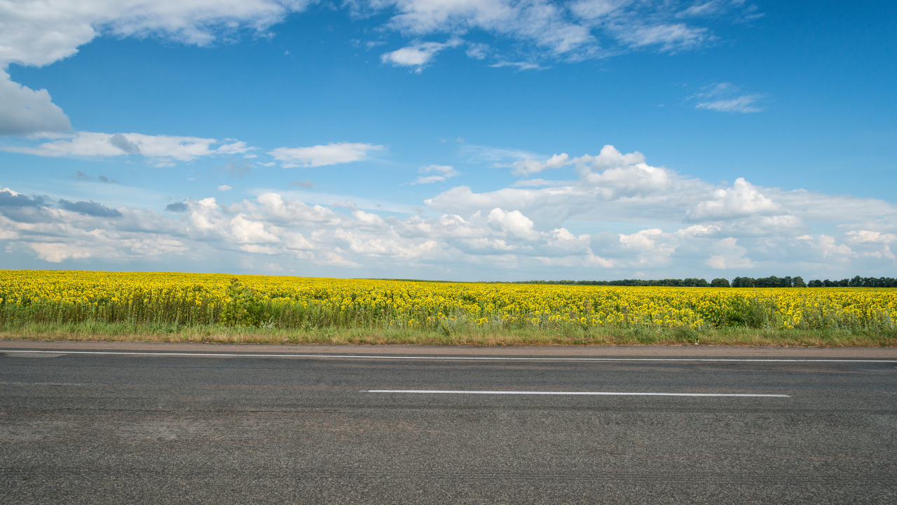 Mumbai-Goa highway (Representational Image)