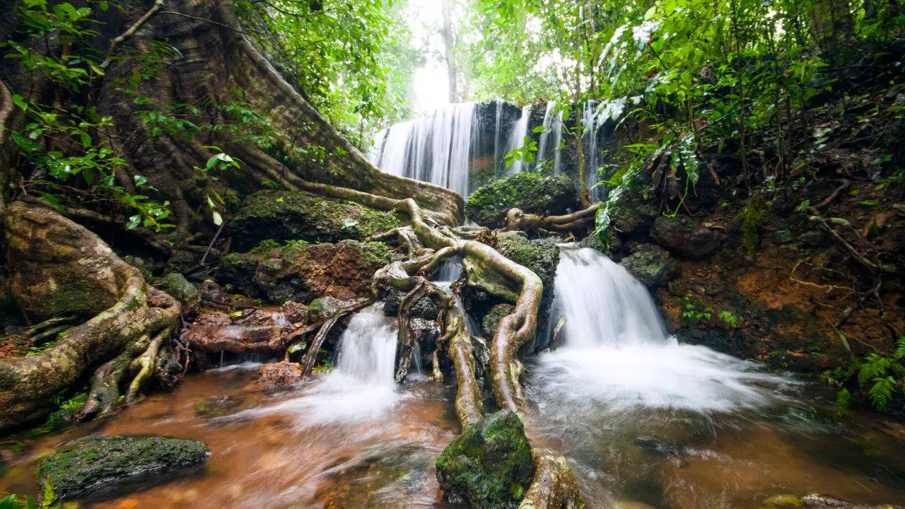 Agumbe: This Quiet Village In Karnataka's Rainforests Is The Perfect Monsoon Destination. Credit: Canva