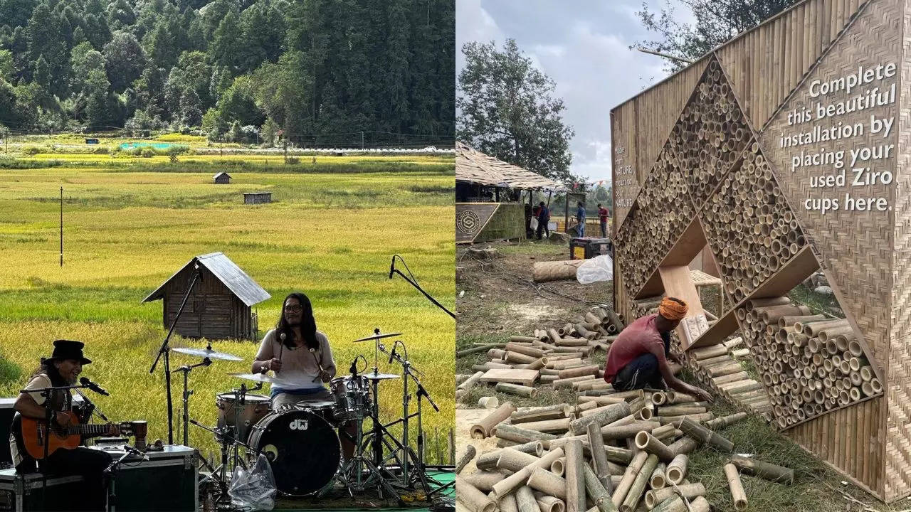 Ziro Festival 2024: A Guide To This Stunning Outdoor Music Fest