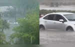 Fort Lauderdale Beach Sinks Miami Underwater as Flood Emergency Issued in Florida  VIDEOS
