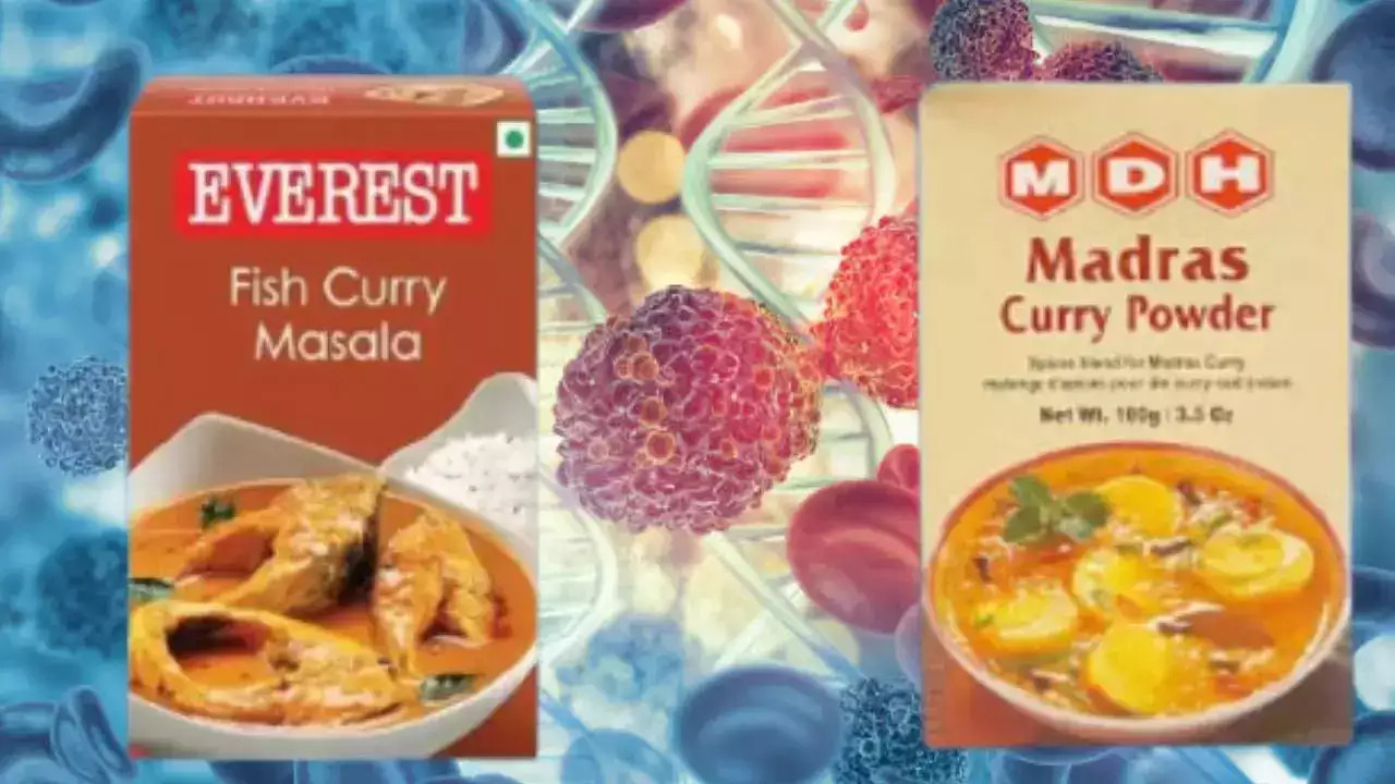 MDH Masala, Everest Masala, Rajasthan, Spices, Masala Controversy, Unsafe, FASSI