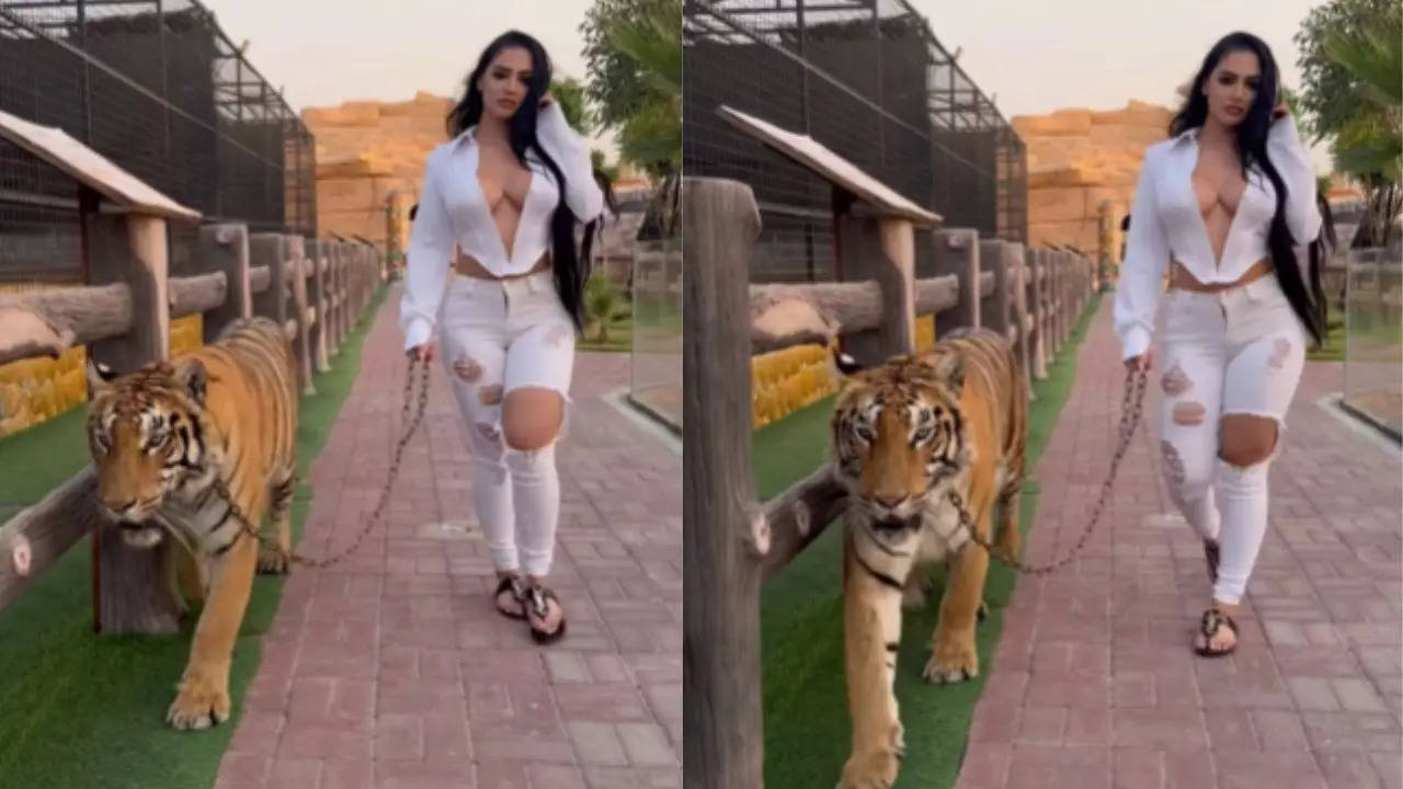 Influencer's Tiger-Walking Video in Dubai Goes Viral