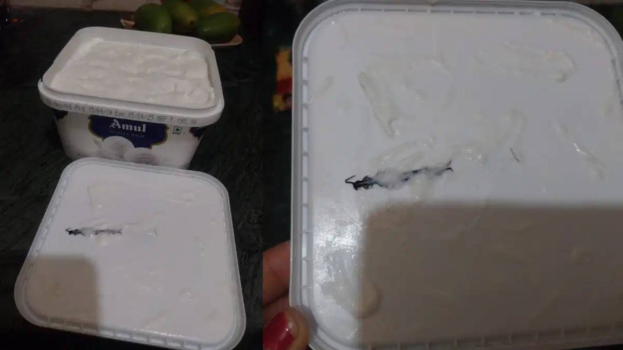 Noida Woman Claims She Found Centipede In Ice-Cream Ordered Online