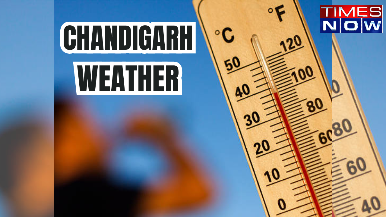 Chandigarh heatwave update (Representational Image)