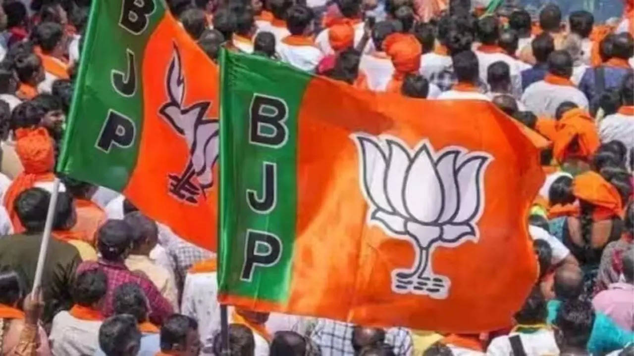 bjp flag