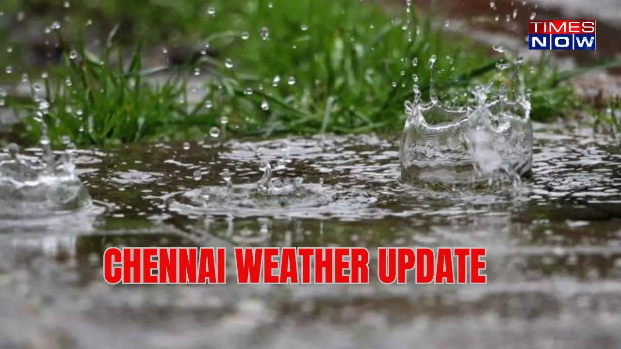 Chennai To Witness Continuous Rainfall Till 22 June; Check Full Forecast Inside