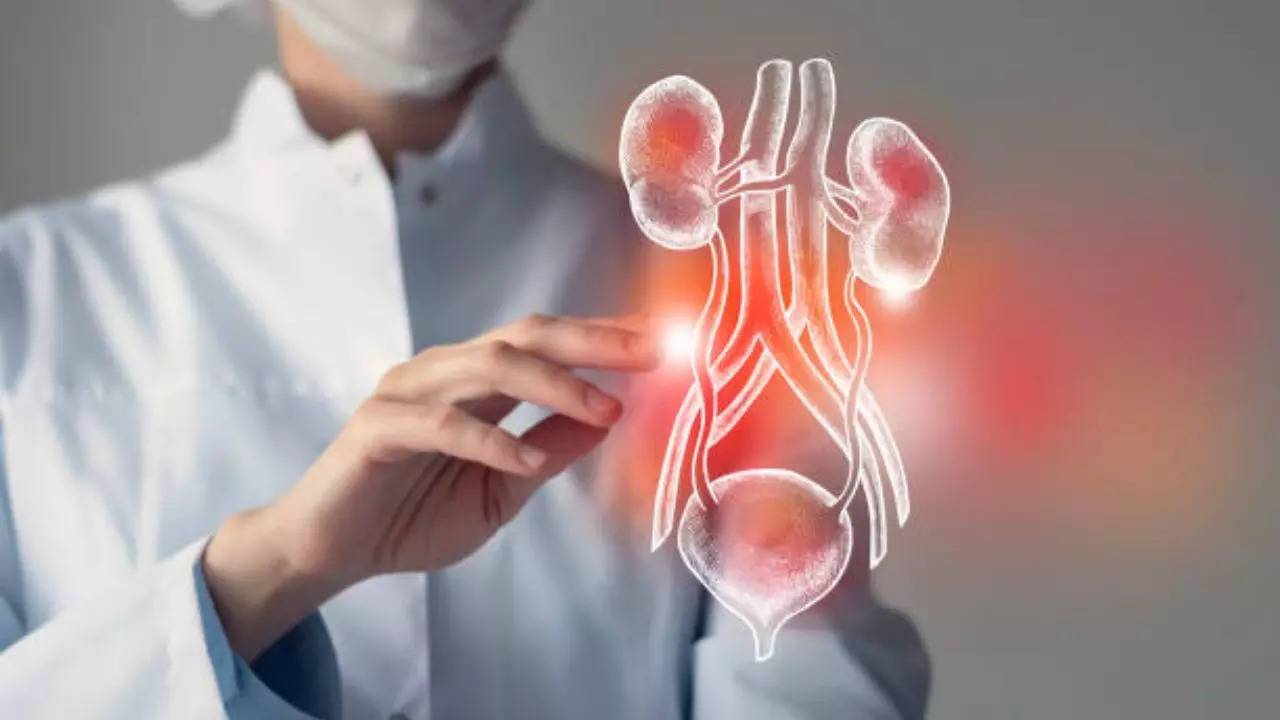 What causes high creatinine levels