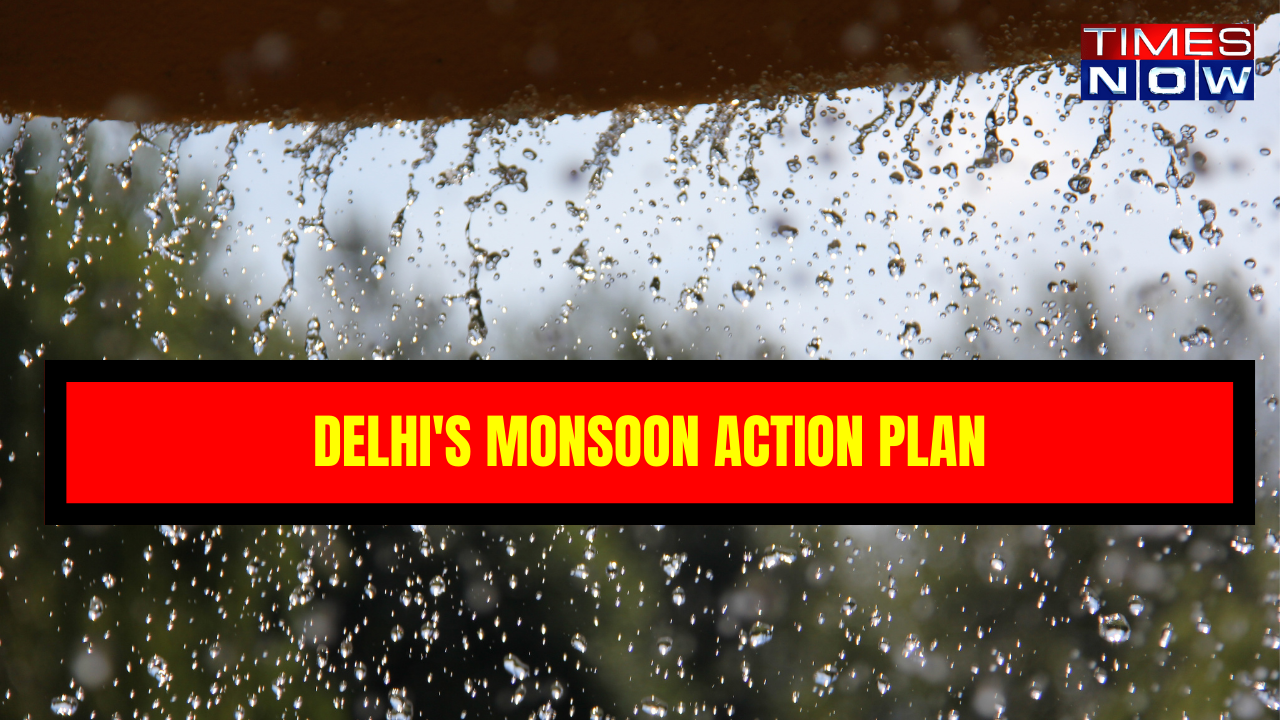 Monsoon action plan (Representational Image)