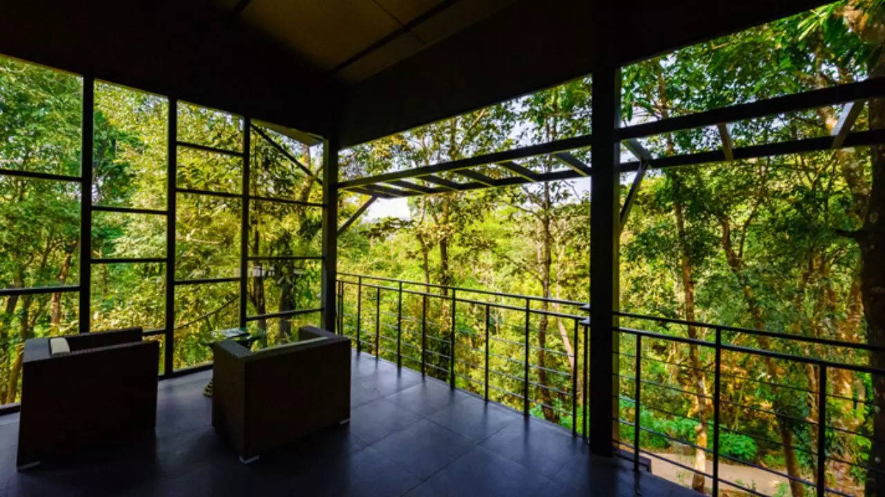 8 Best Resorts In Wayanad For Incredible Mountain Views. Credit: Wayanad Wild