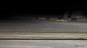 Watch Bull Rescues Calf from Lion Attack in Gujarats Junagadh