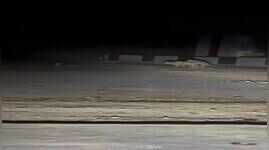 Watch  Bull Rescues Calf from Lion Attack in Gujarats Junagadh