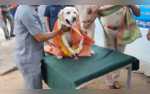 Watch Telangana Police Honours Sniffer Dog With Ceremonial Send-Off After 12 Years of Service
