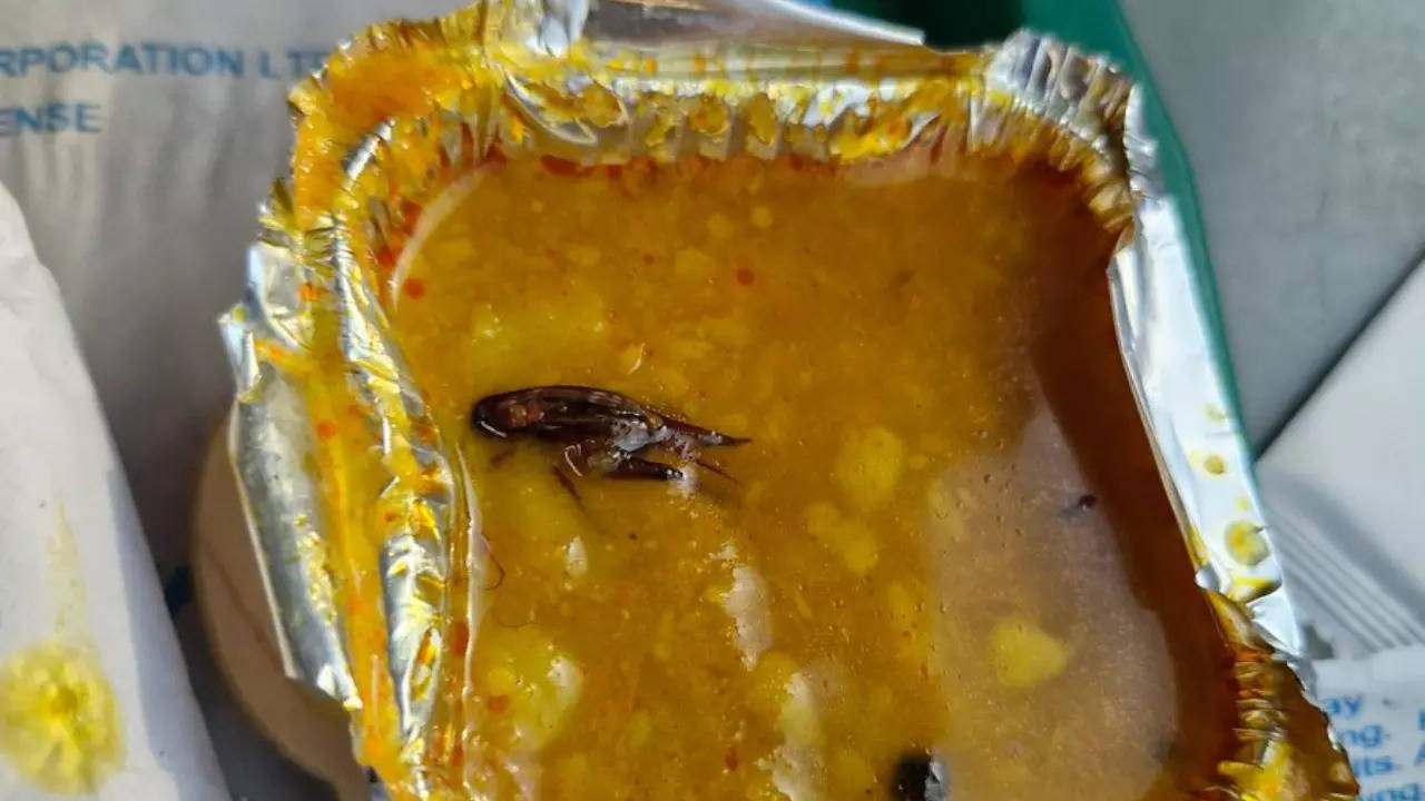 A cockroach floats in the curry of a meal served on 20171 Vande Bharat Express. | Vidit Varshney/X