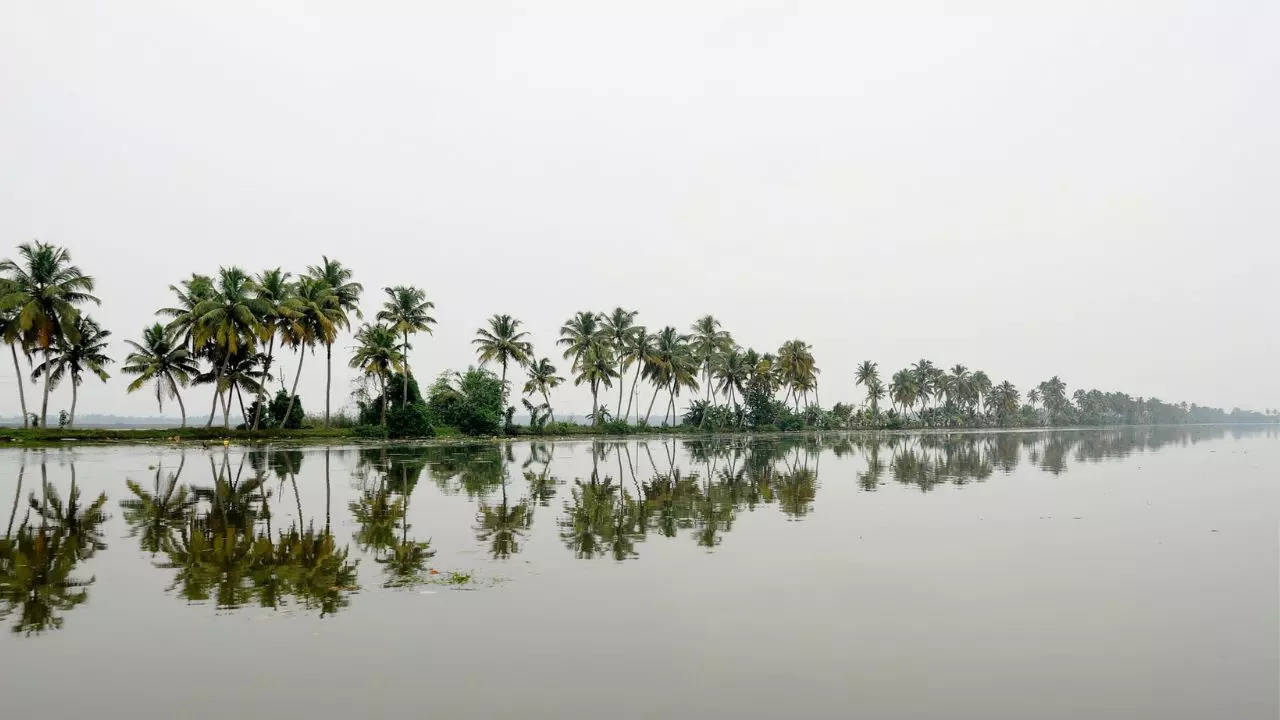 Monsoon In Kochi