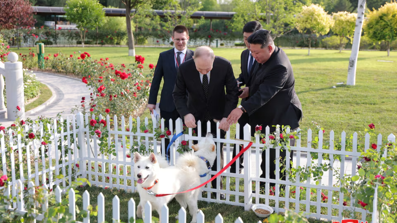 Putin Gets Two Dogs As Gift From Kim Jong Un During Visit
