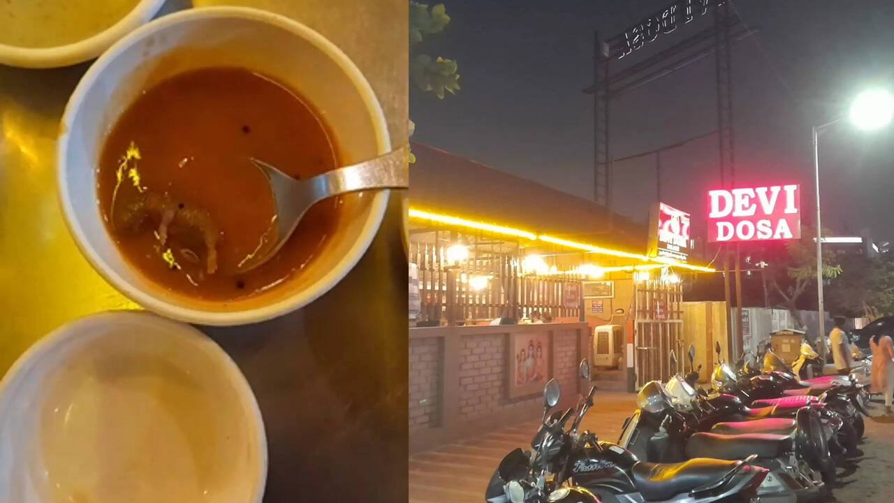 dead rat found in sambar at ahmedabad eatery's unhygienic kitchen: video