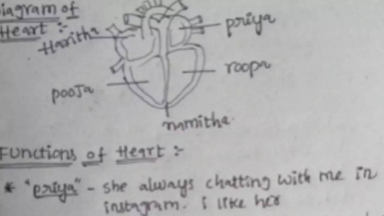 'priya, pooja...': student's heart diagram linked to crush leaves netizens in stitches