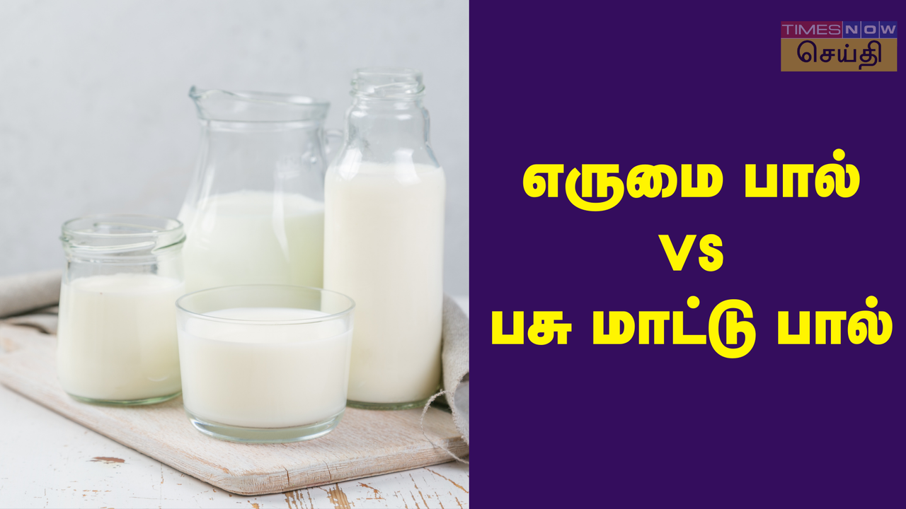  எருமை பால் vs பசு மாட்டு பால் - எது நல்லது? 