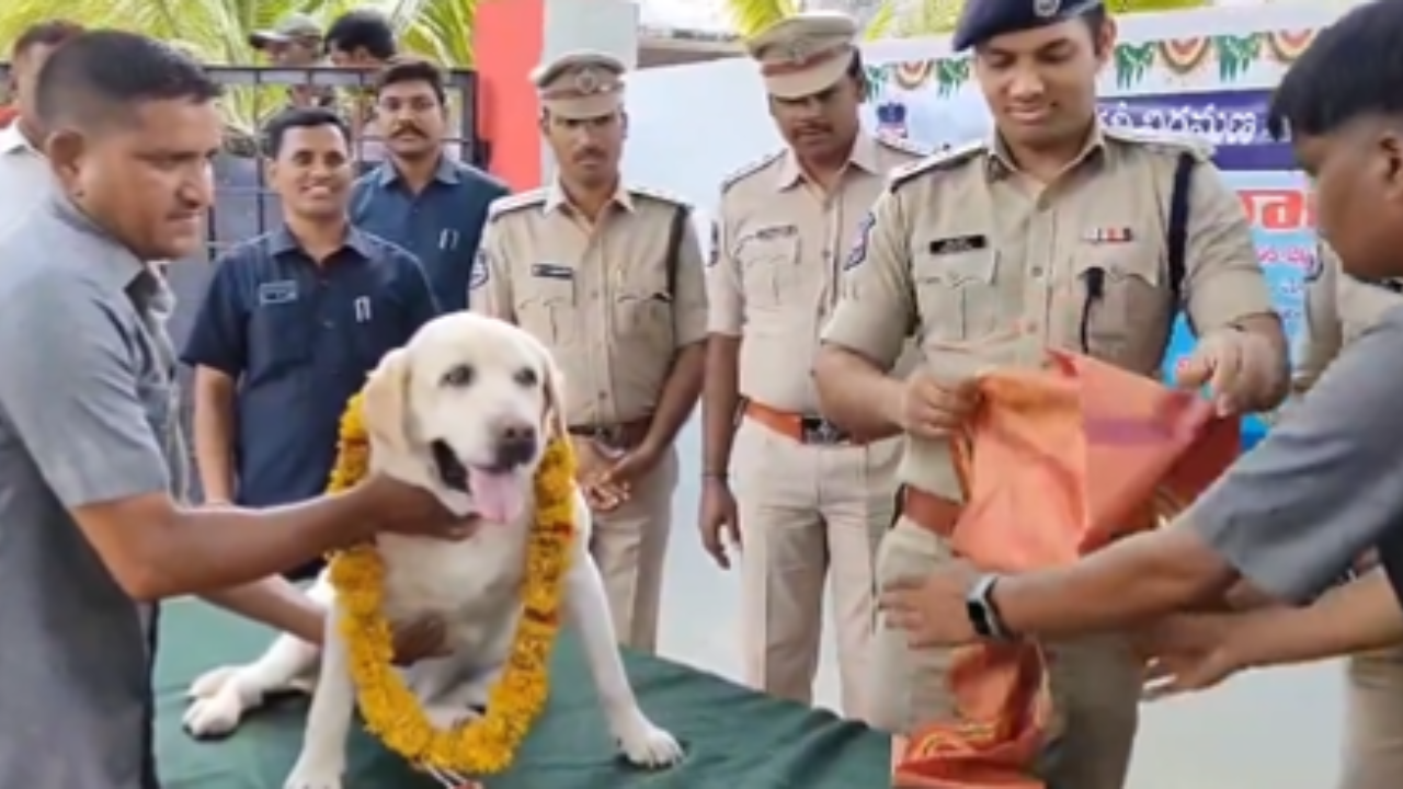 'Where's The Treat, People': Sniffer Dog Retires After 11 Years Service ...