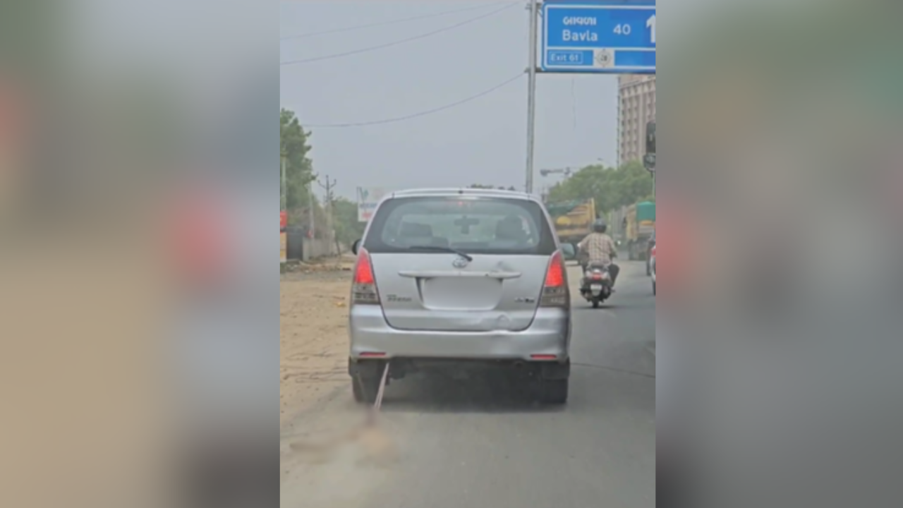 dead dog tied to car, dragged on ahmedabad highway in horrific video