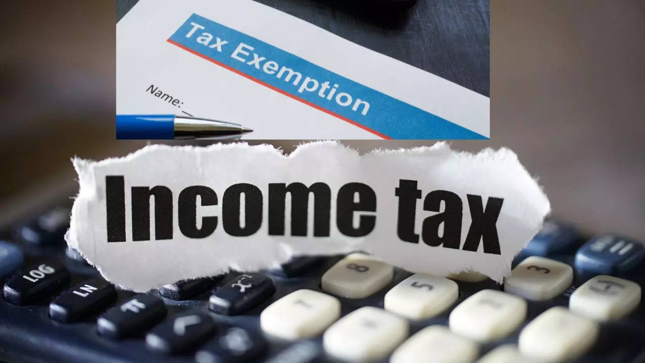 Income Tax Return, Income Tax Exemption, Income Tax Exemption Limit, indexation, how to lower tax, lower tax liability, tax liability