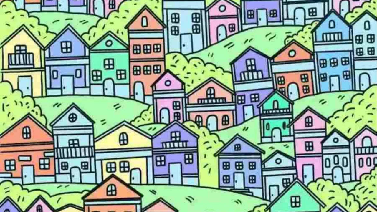  10 நொடிக்குள்..  உங்களால் கதவில்லா வீட்டை க் கண்டுபிடிக்க முடியுமா? 