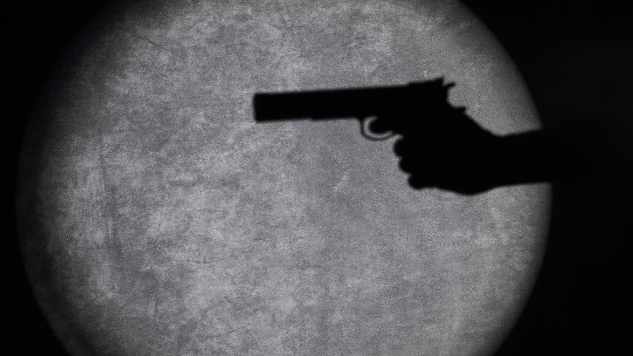 Punjab Man Shoots Daughter, Elderly Mother, Pet Dog Before Killing Self