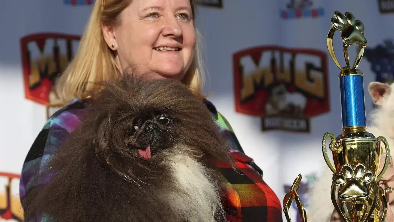 2024 World's Ugliest Dog contest winner Wild Thang pictured with his owner, Ann Lewis. | Getty