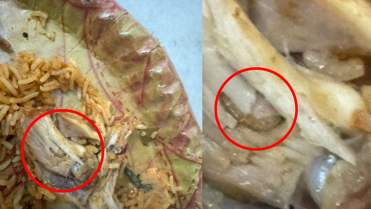 after dead rat in hershey's, hyderabad man finds bugs in chicken biryani