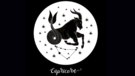 Capricorn Horoscope Today June 25 2024