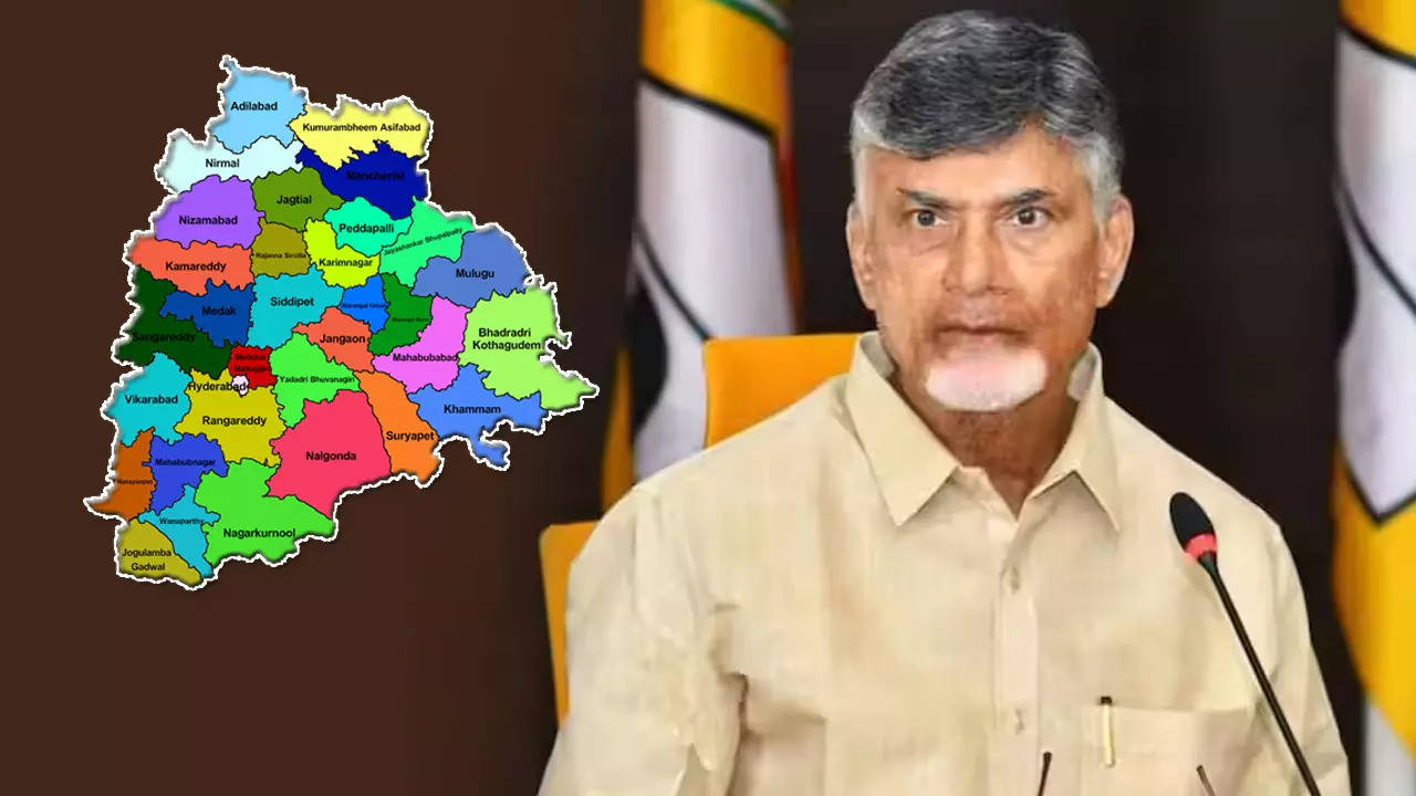 TELANGANA TDP PRESIDENT