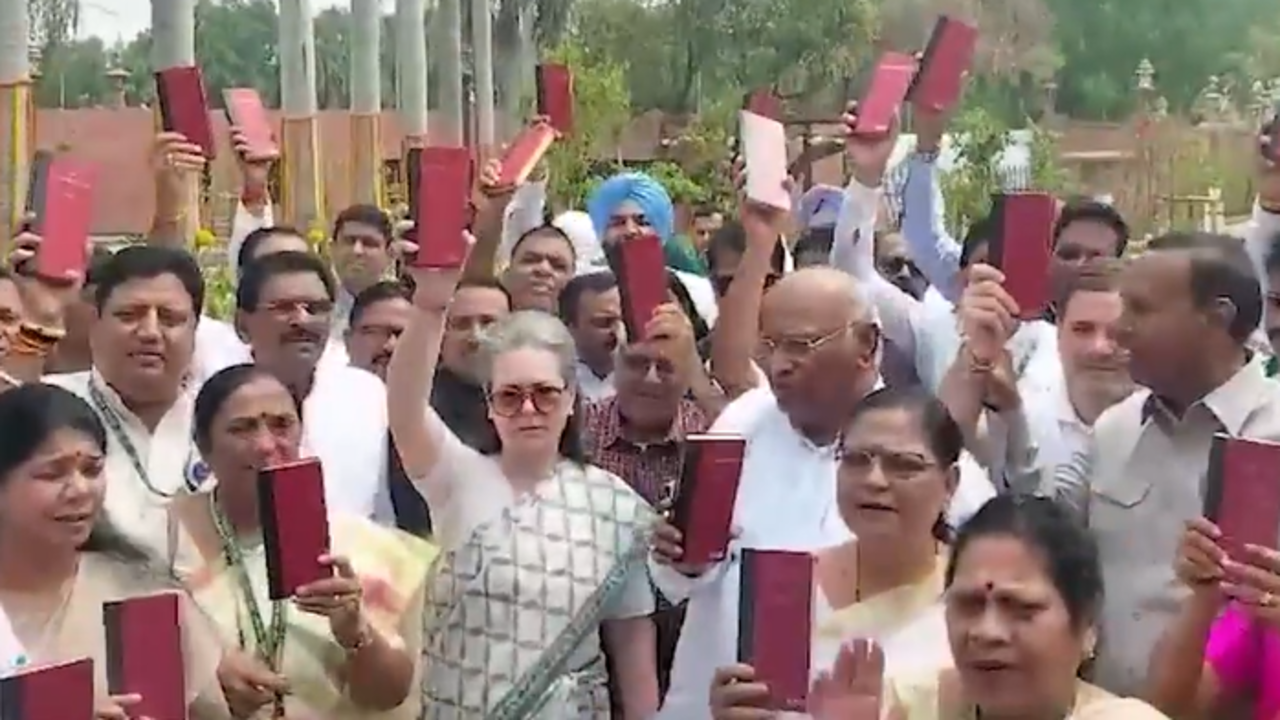 'guardians of democracy': opposition leaders protest in parliament with copies of constitution in hands