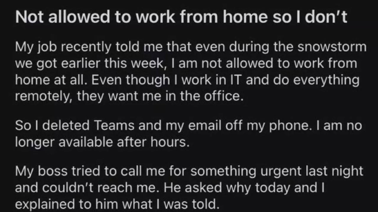 redditor's 'savage' response to 'no work from home' police sparks online debate