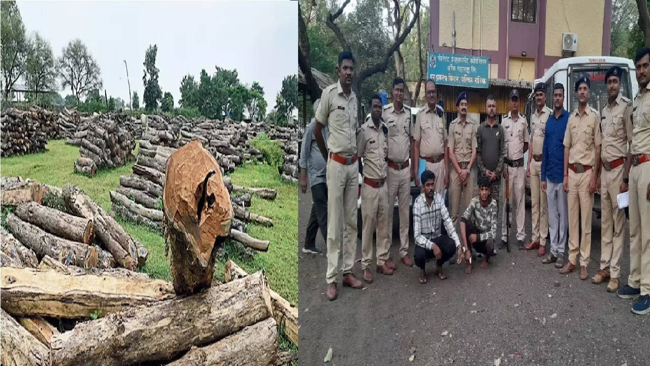 wood smuggler arrested