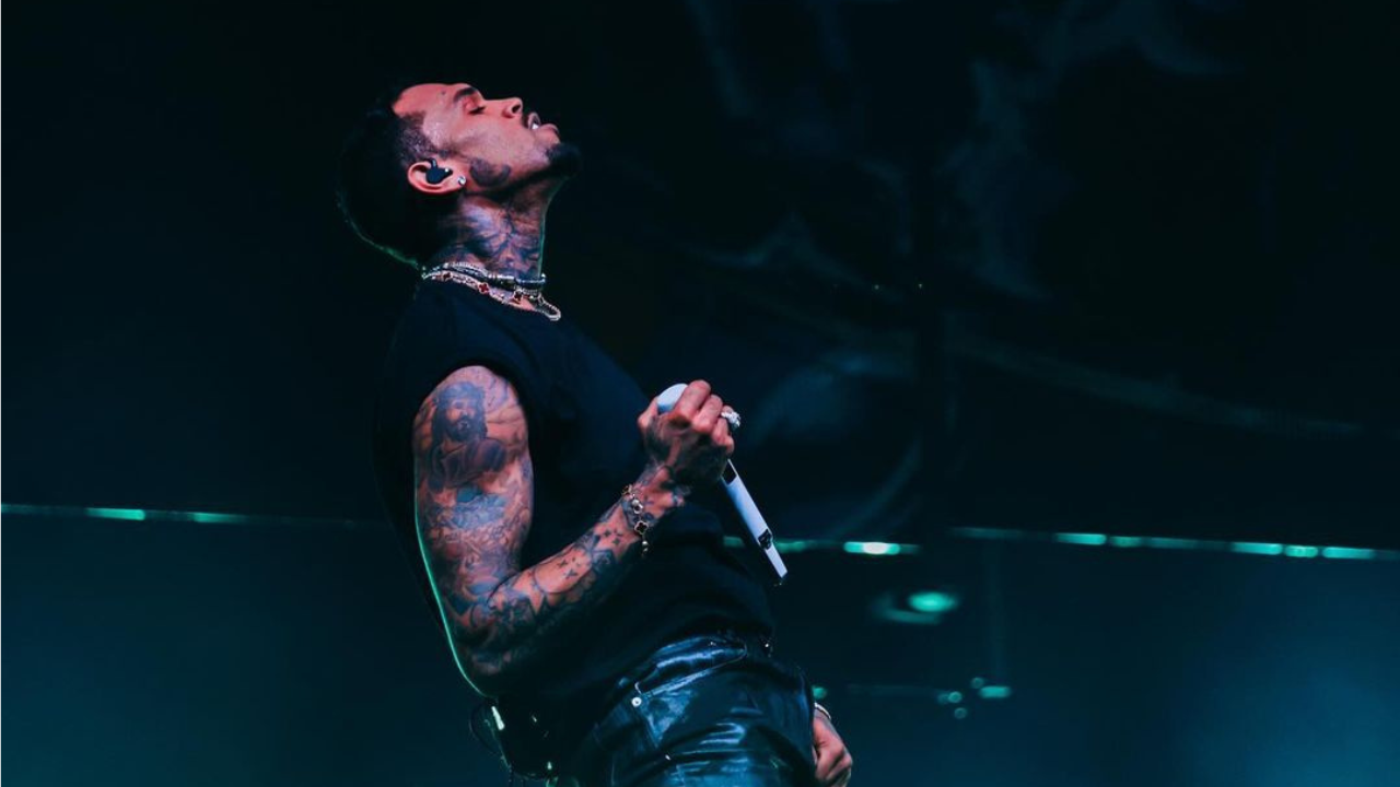 Chris Brown's 'Bulge' At Toronto Concert Is Going Viral