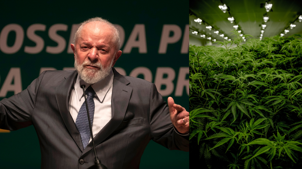 Lula Brazil Marijuana