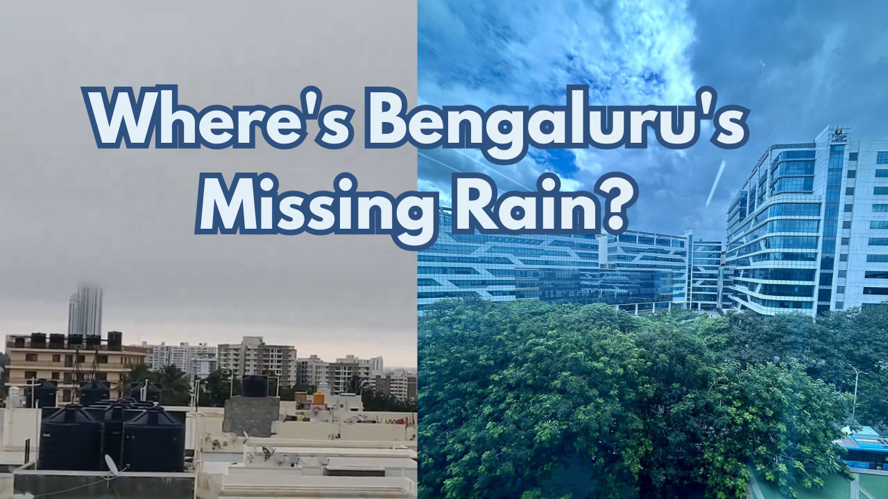 bengaluru rains: 'city covered in grey envelope' but people ask when will it rain in bangalore? here's what imd says