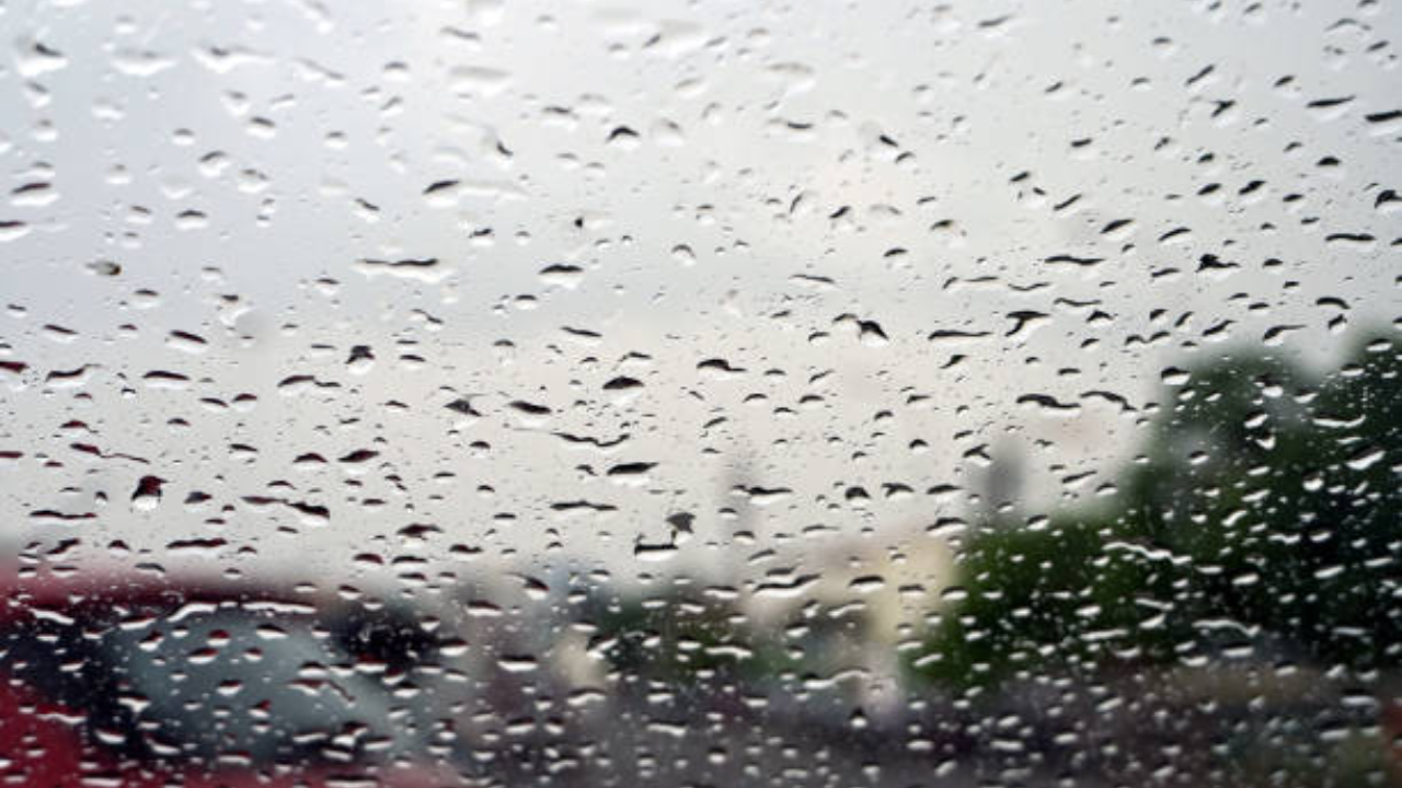 chennai weather: imd predicts rain, thundershowers today; check 7-day forecast